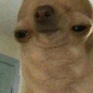 Meet your Posher, Roberto